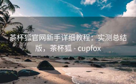茶杯狐官网新手详细教程：实测总结版，茶杯狐 - cupfox