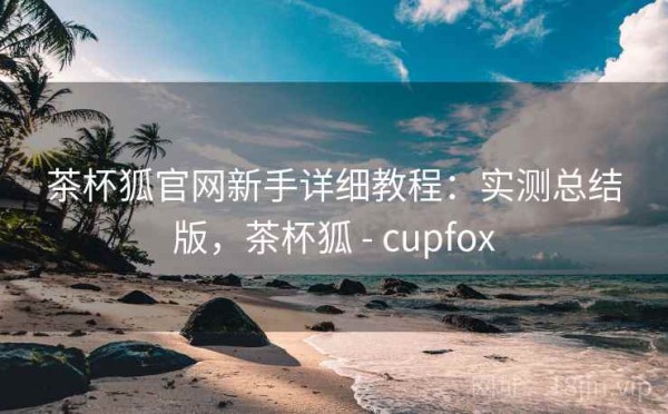 茶杯狐官网新手详细教程：实测总结版，茶杯狐 - cupfox