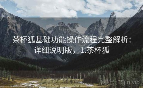 茶杯狐基础功能操作流程完整解析：详细说明版，1.茶杯狐