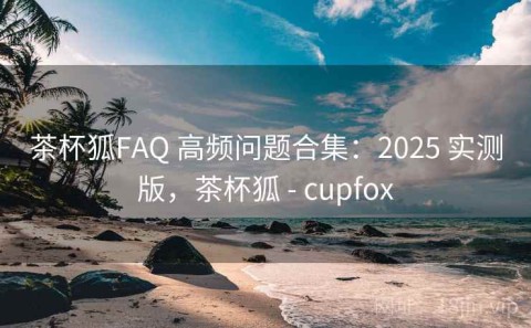 茶杯狐FAQ 高频问题合集：2025 实测版，茶杯狐 - cupfox