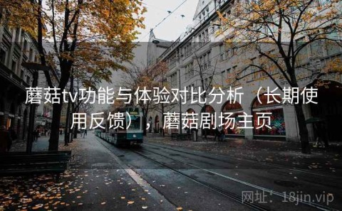 蘑菇tv功能与体验对比分析（长期使用反馈），蘑菇剧场主页