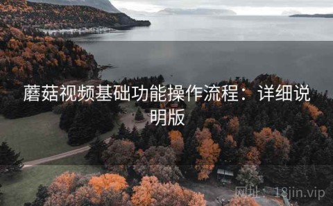 蘑菇视频基础功能操作流程：详细说明版