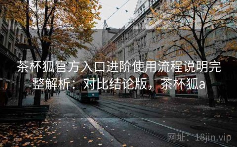 茶杯狐官方入口进阶使用流程说明完整解析：对比结论版，茶杯狐a