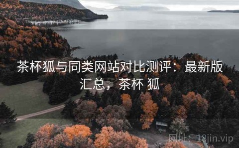 茶杯狐与同类网站对比测评：最新版汇总，茶杯 狐