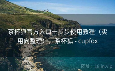 茶杯狐官方入口一步步使用教程（实用向整理），茶杯狐 - cupfox
