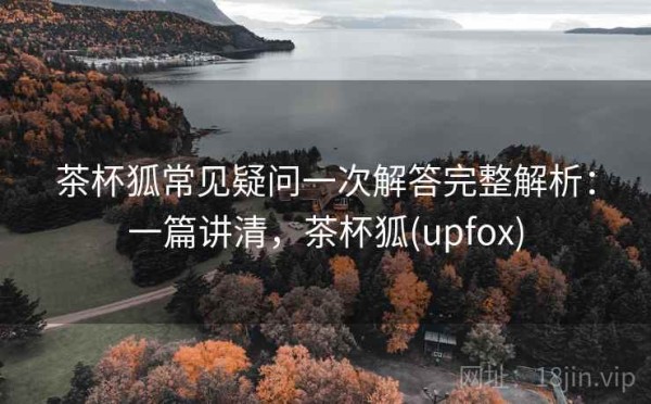 茶杯狐常见疑问一次解答完整解析：一篇讲清，茶杯狐(upfox)