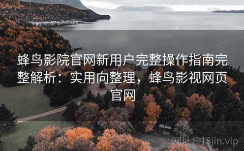 蜂鸟影院官网新用户完整操作指南完整解析：实用向整理，蜂鸟影视网页官网