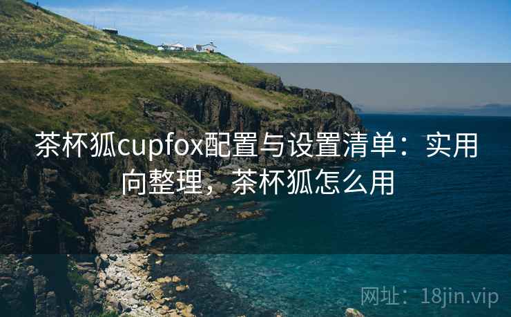 茶杯狐cupfox配置与设置清单：实用向整理，茶杯狐怎么用