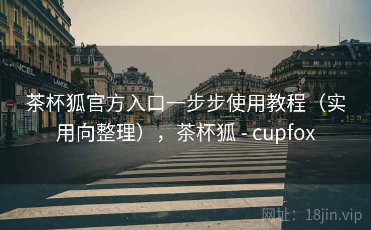 茶杯狐官方入口一步步使用教程（实用向整理），茶杯狐 - cupfox