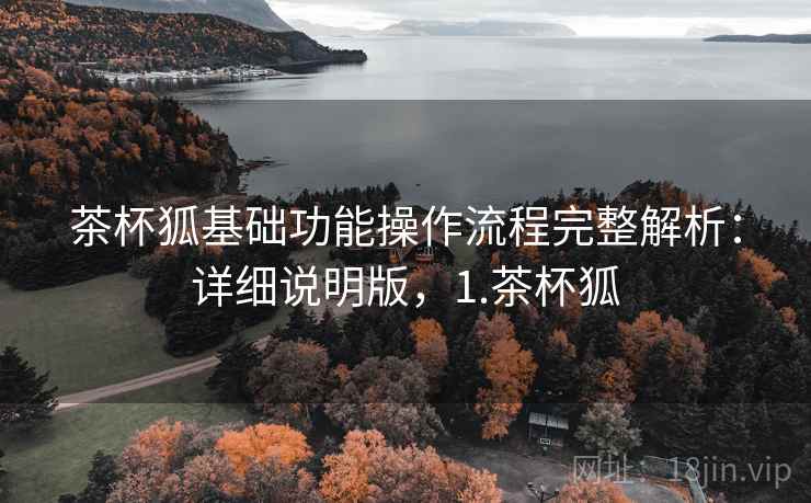 茶杯狐基础功能操作流程完整解析：详细说明版，1.茶杯狐